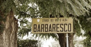 Strada del vino Barbaresco