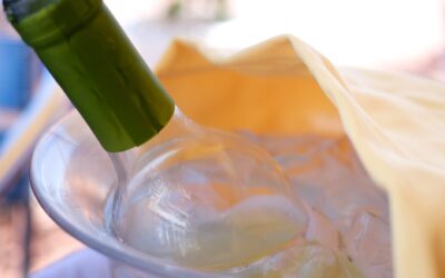 Temperatura del vino: consigli e modalità d’uso