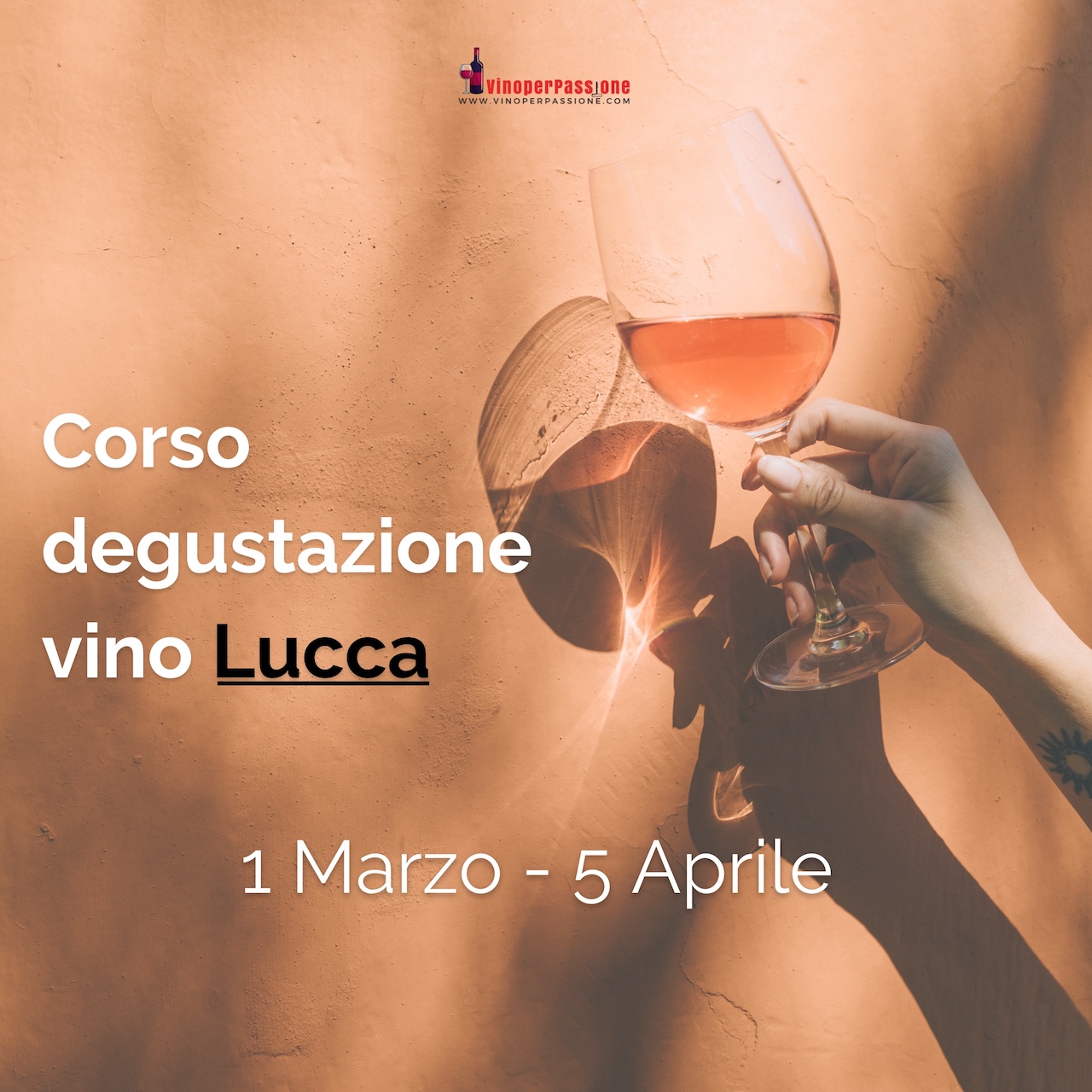 Corso degustazione vino Lucca