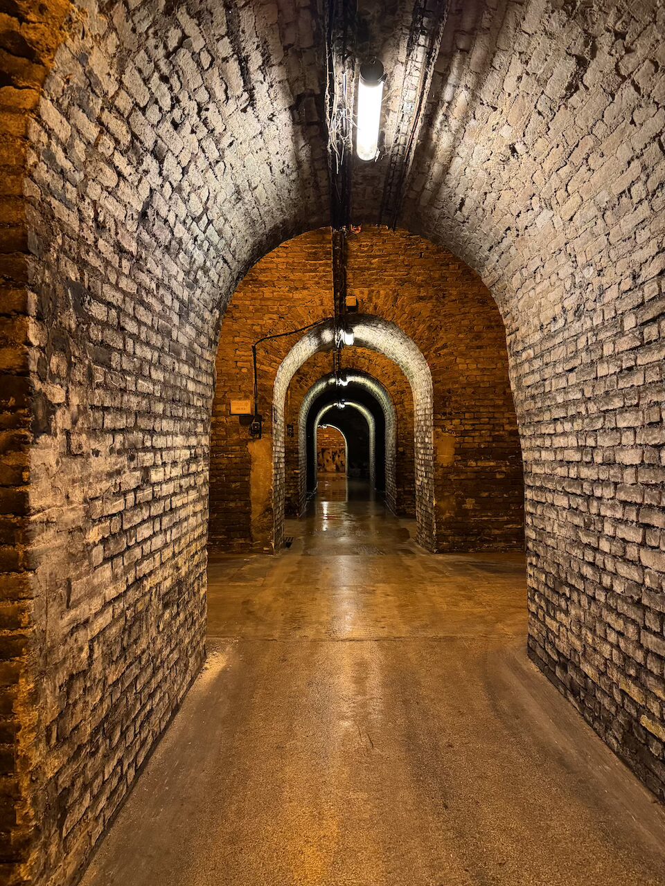 Una della gallerie della cantina di Bollinger